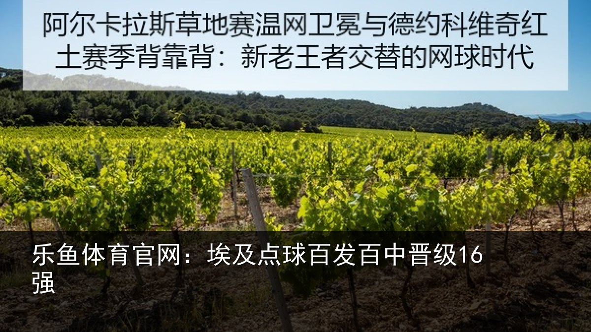 乐鱼体育官网:埃及点球百发百中晋级16强