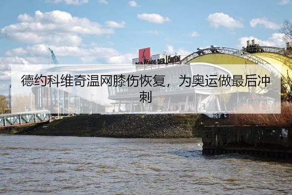 de-yue-ke-wei-qi-wen-wang-xi-shang-hui-fu-wei-ao-yun-zuo-zui-hou-chong-ci-3-206.jpg